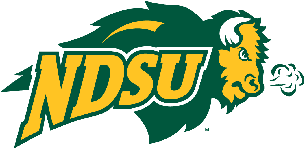 North Dakota State Bison 2005-2011 Secondary Logo v2 diy fabric transfer